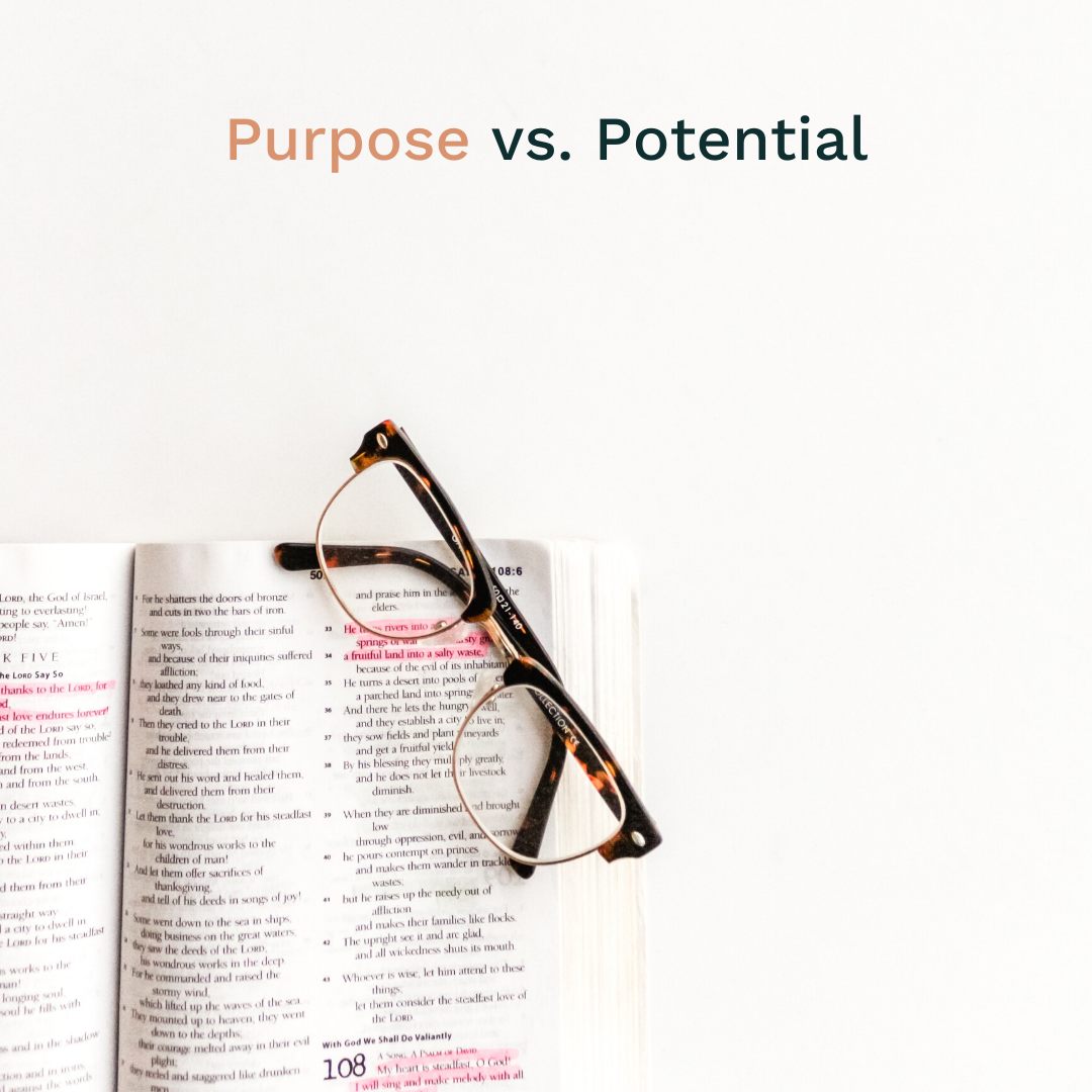 Purpose vs Potential