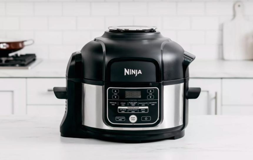 Ninja Foodi Programmable 10-in-1 5qt Pressure Cooker and Air Fryer - FD101 - The F Word - Tamela Davis